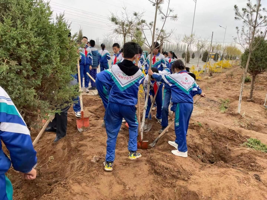 中宁县第八小学"3.12植树节"